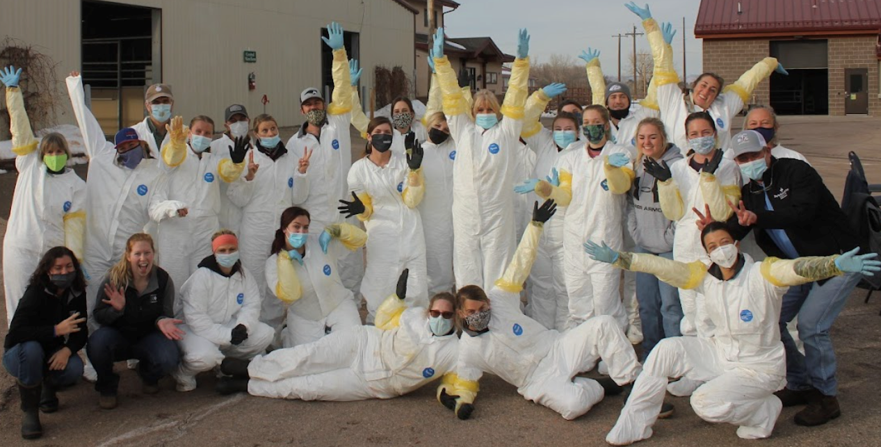 A group photo of the Colorado State University Equine Reproduction Laboratory in lab suits